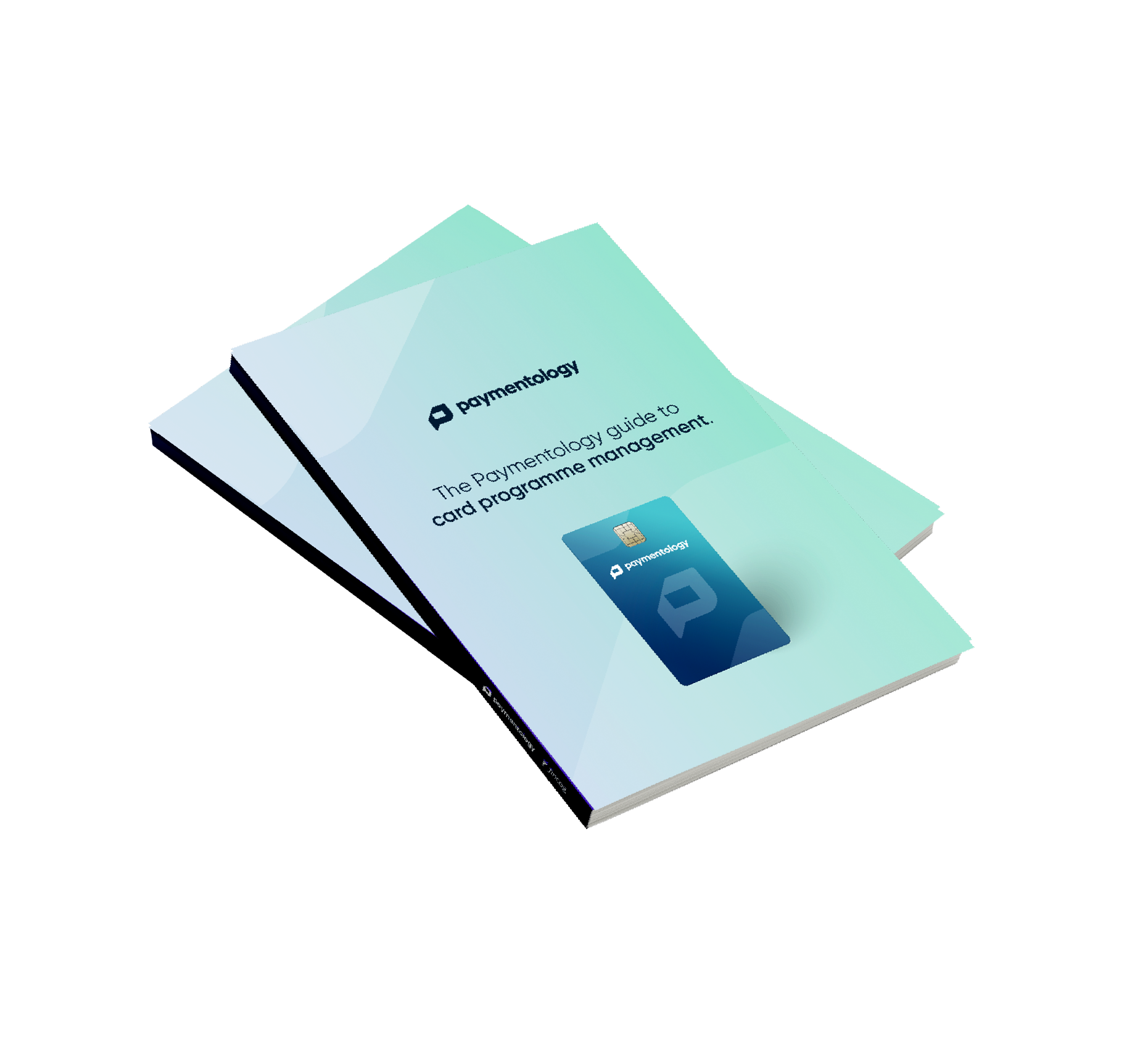 The Paymentology guide to card programme management. 